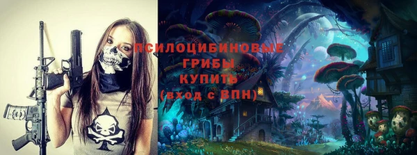 шишки Алзамай