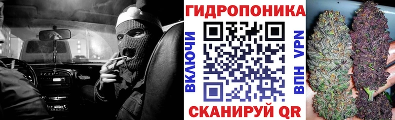 Марихуана тримм  площадка наркотические препараты  Темрюк  наркотики 
